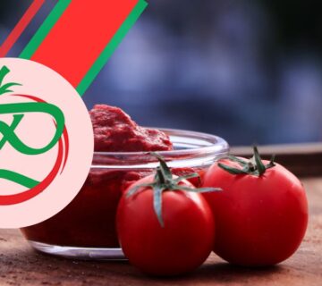 معجون الطماطم المعلبة